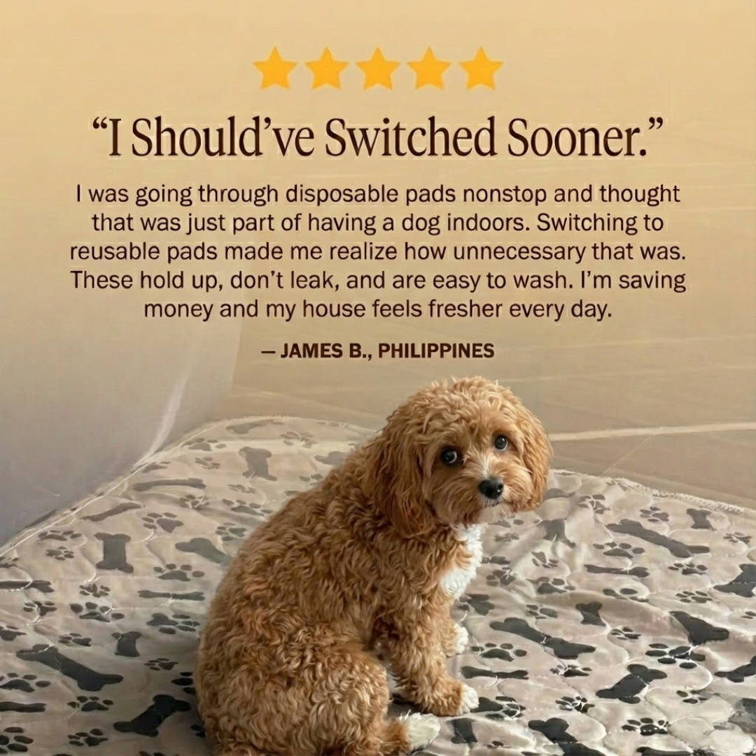 LunaDry™ - The Last Reusable Pee Pad You'll Get