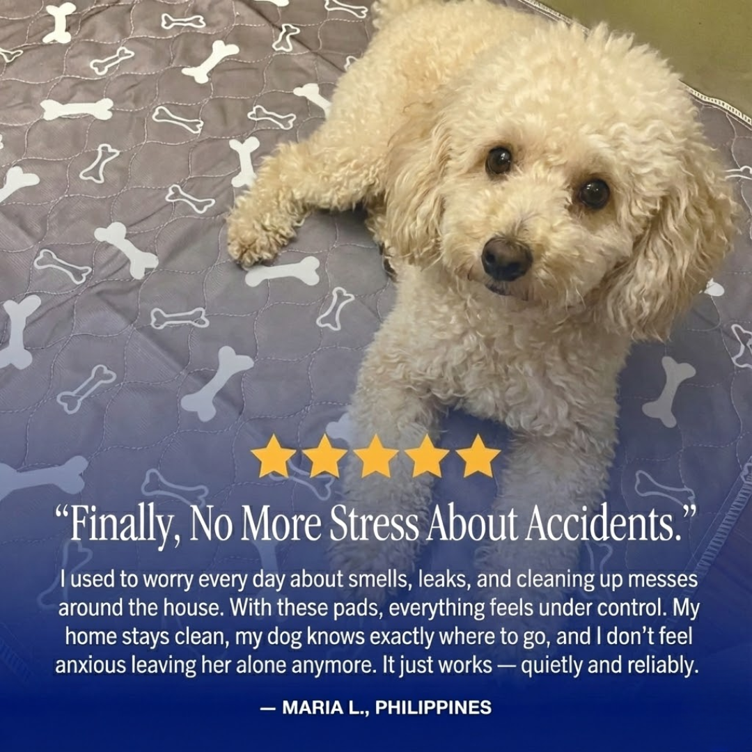 LunaDry™  - The Last Reusable Pee Pad You'll Get