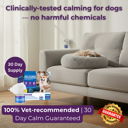 Luna's StormEase Calming Diffuser for Cats & Dogs