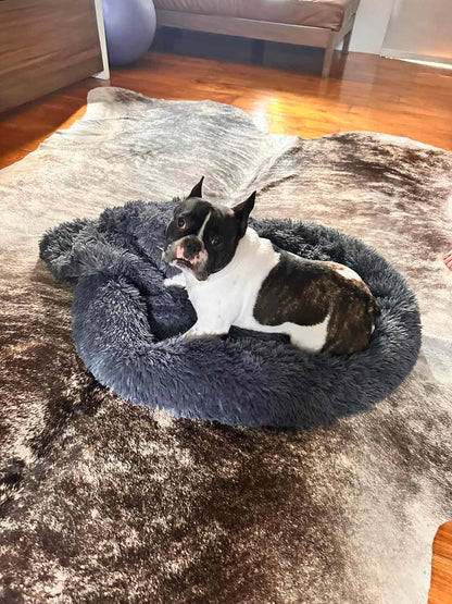 Luna Nest Premium Calming Bed