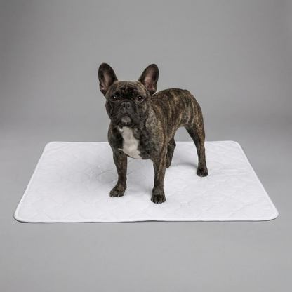 LunaDry™ - The Last Reusable Pee Pad You'll Get