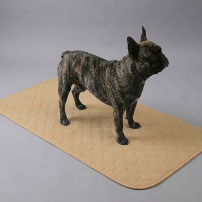 LunaDry™ - The Last Reusable Pee Pad You'll Get