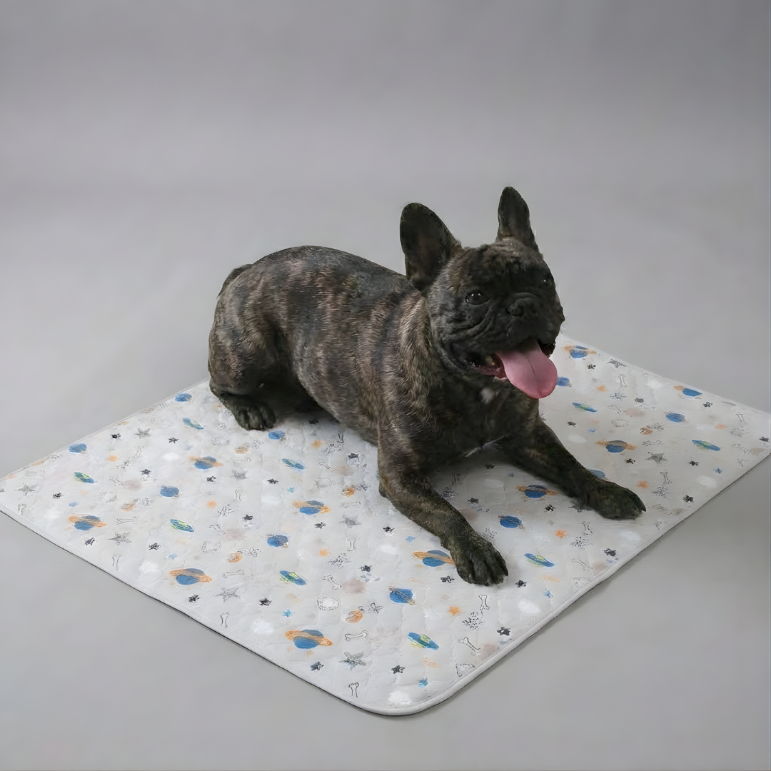 LunaDry™ - The Last Reusable Pee Pad You'll Get