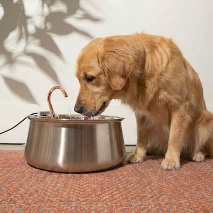 LunaFlow™ Health & Happiness Kit